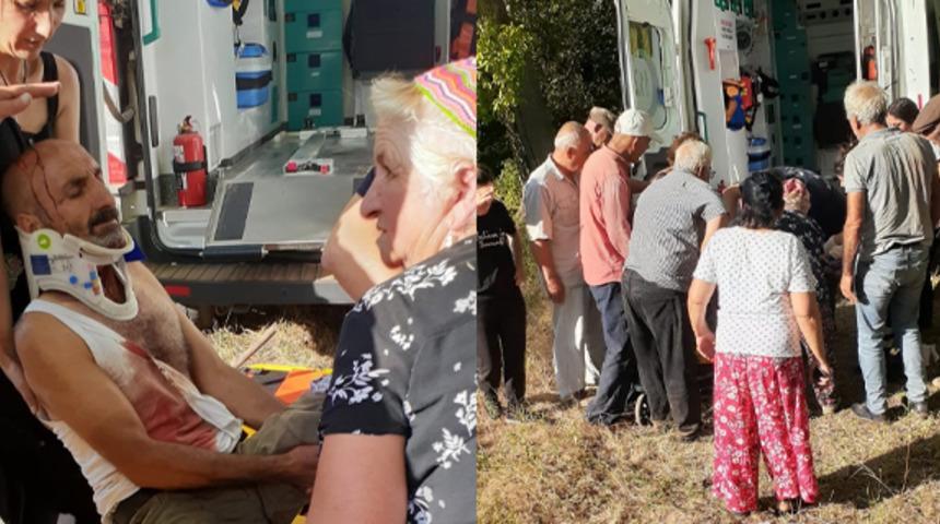 Tunceli'de ayı saldırısı!