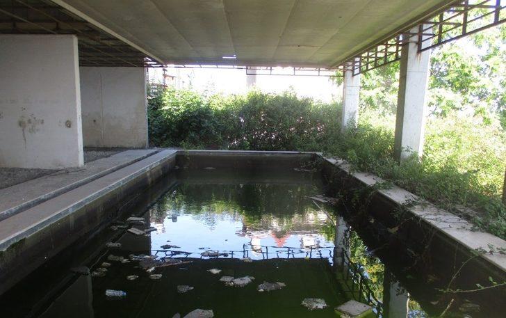 İzmit Belediyesi, metruk binanın havuzunu tahliye etti G1