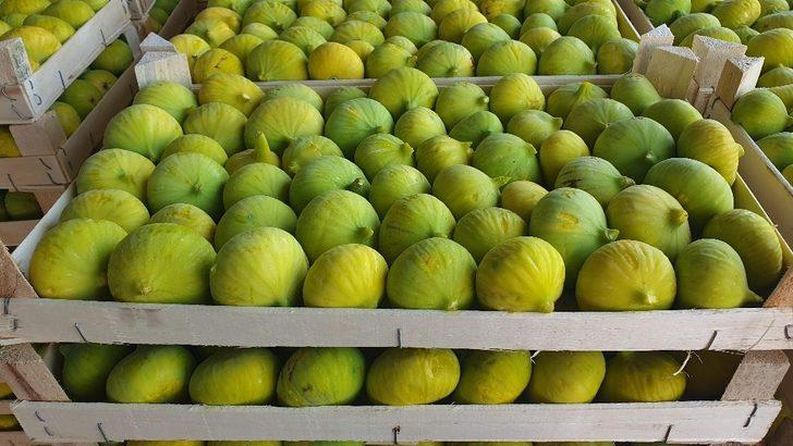 Toprak Mahsulleri Ofisi kuru incir alımına devam edecek G2
