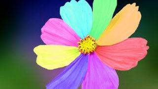 Renklere Göre Hastalıklar!