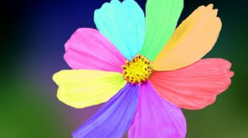 Renklere G&ouml;re Hastalıklar!