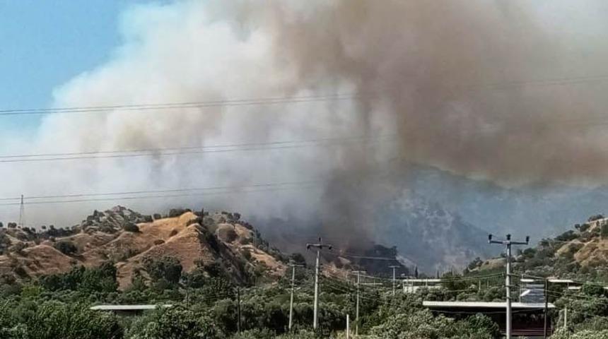 Aydın&rsquo;da arazi yangını