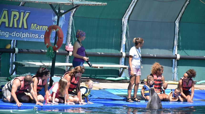 Marmaris'teki dünyaca ünlü yunus parkı mühürlendi