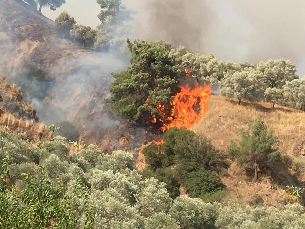 Aydın&rsquo;daki yangını s&ouml;nd&uuml;rme &ccedil;alışmaları devam ediyor