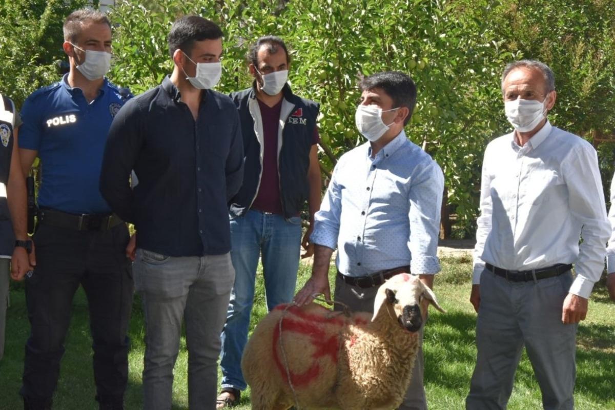 Belediye Başkanı tatlı yerine kurbanlık g&ouml;t&uuml;rd&uuml;