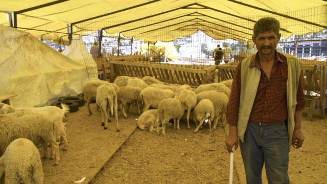 Kurban Pazarını Corona Vurdu: Esnaf Dertli