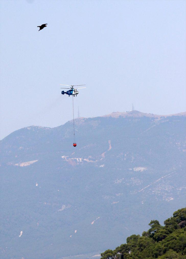 GÜNCELLEME - Manisa'daki orman yangını kontrol altına alındı G1