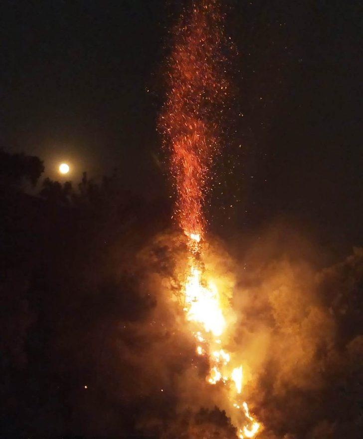 Alevleri söndürmek için Büyükşehir ekipleri seferber oldu G4