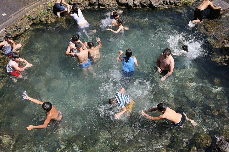 Prof. Dr. Recep Tekin uyardı: Havuz ve göletlerde 'koronavirüs' riski G2