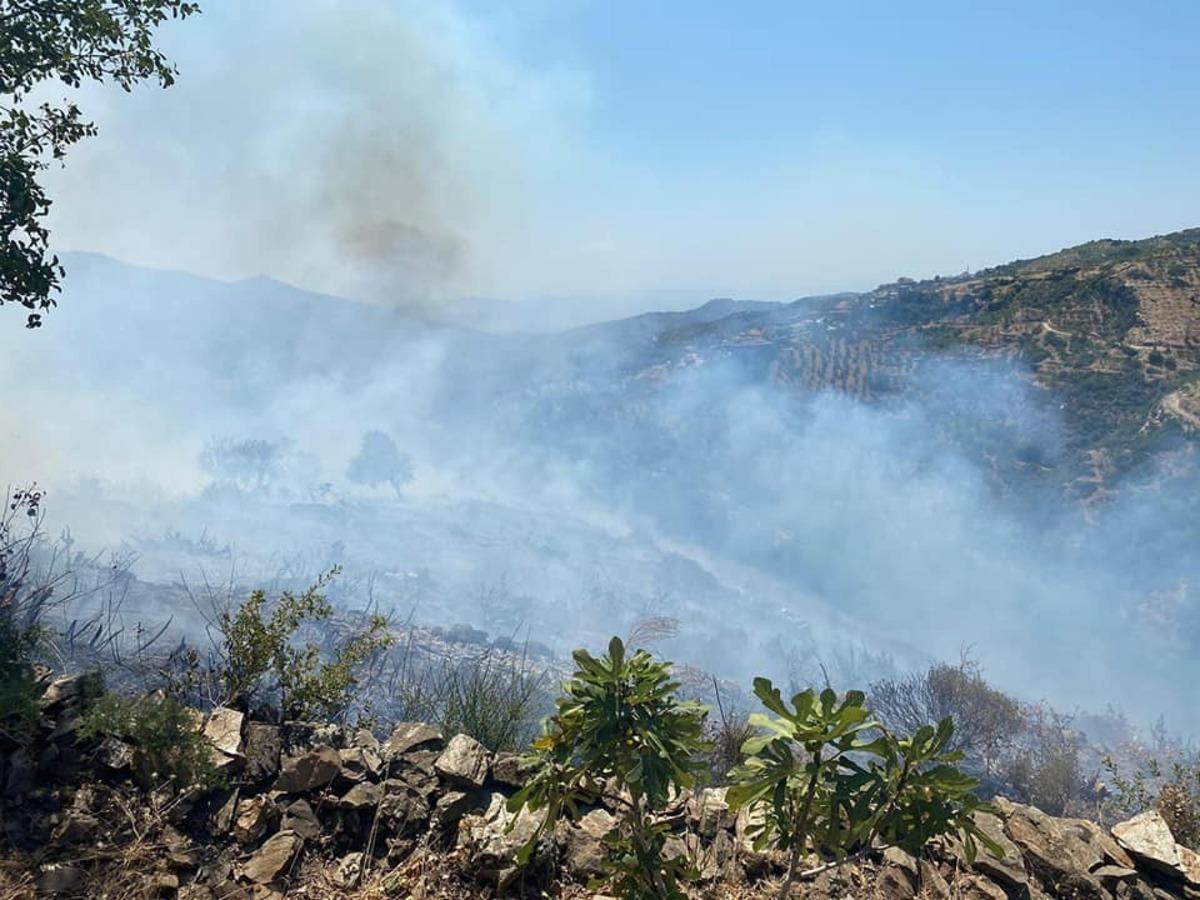 K&ouml;şk&rsquo;te 10 d&ouml;n&uuml;m makilik alan yandı