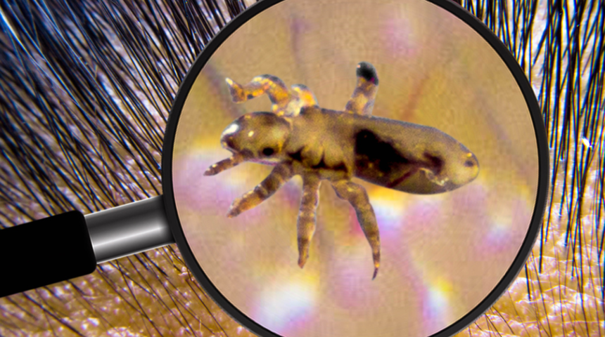 Bit: Neden olur, nasıl ge&ccedil;er?