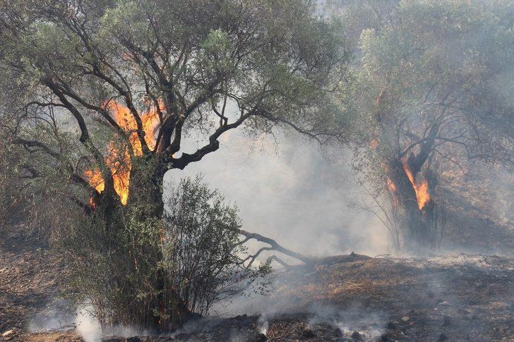 Aydın’daki yangın kontrol altına alındı, soğutma çalışmaları devam ediyor G2