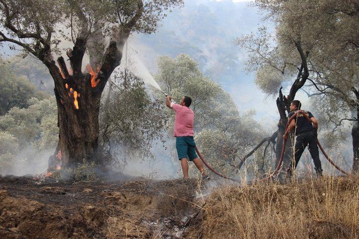 Aydın’daki yangın kontrol altına alındı, soğutma çalışmaları devam ediyor G4