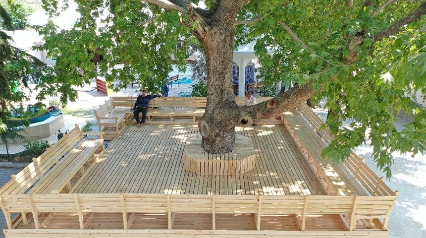 Kaş&rsquo;ta tarihi k&ouml;şkler yeniden hayat buluyor