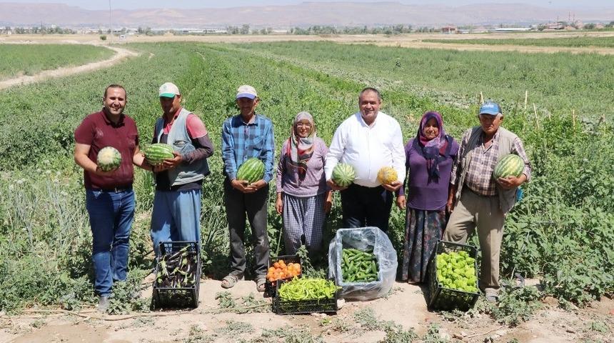 Karpuz zam şampiyonu oldu