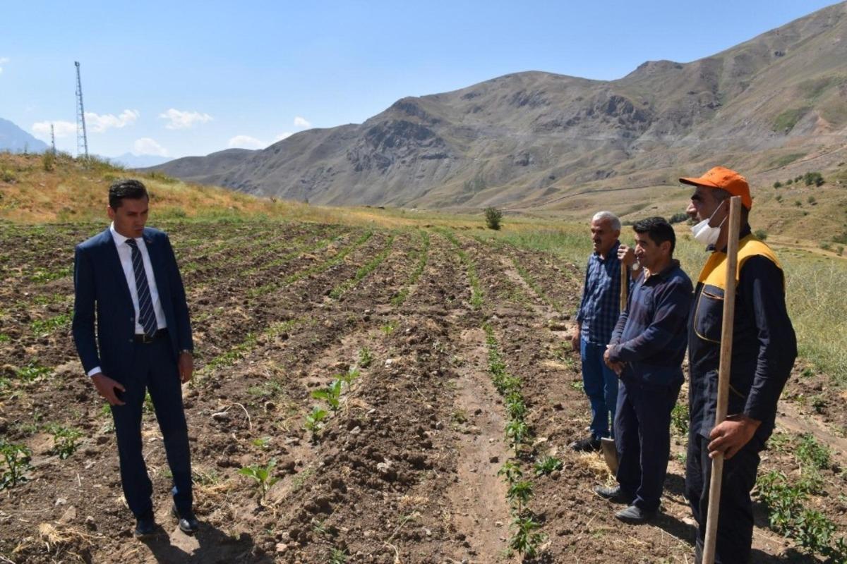 Vali Yardımcısı Kumbasar, hayata ge&ccedil;irilen projeleri denetledi
