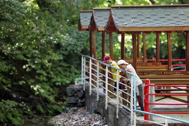 Avcıköy Hasanpınar Mesire Alanı büyük beğeni topladı