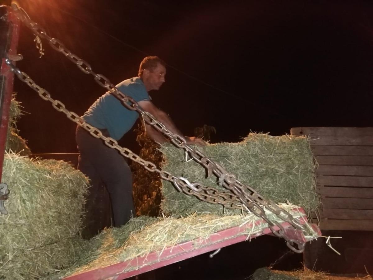 Yangın mağduru &uuml;reticilere b&uuml;y&uuml;kşehir desteği