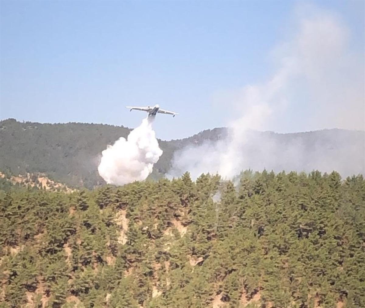Sinop&rsquo;taki orman yangını kontrol altına alındı