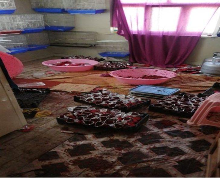 Kaçak ürünlerle birlikte yakayı ele verdiler G2