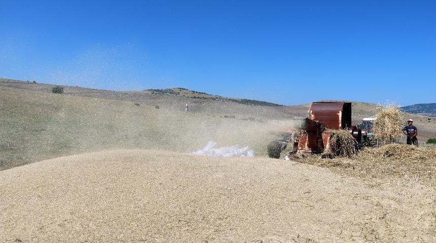35 derecede kışlık yem m&uuml;cadelesi