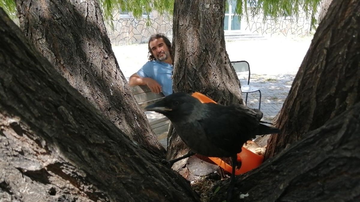 Yaban hayvanları merkezinde son 6 ayda 200 hayvan tedavi edildi