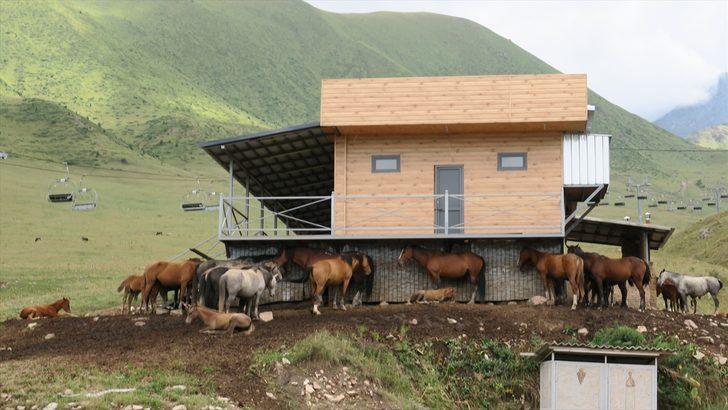 Çunkurçak Vadisi doğal güzellikleriyle büyülüyor G3