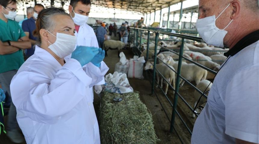 Kurban Bayramında Eskişehir’de 70 bin 815 hayvan kesildi