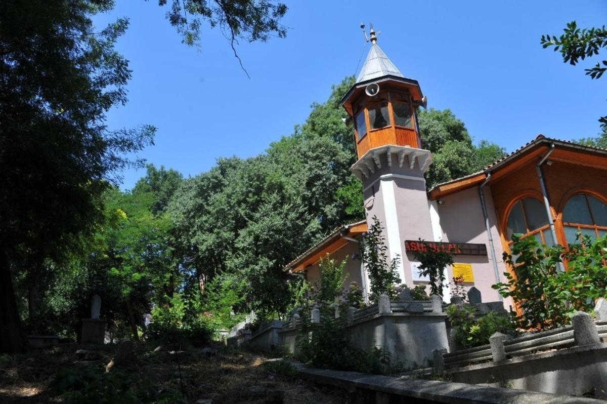 Tarihi mezarlıkta peyzaj d&uuml;zenlemesi