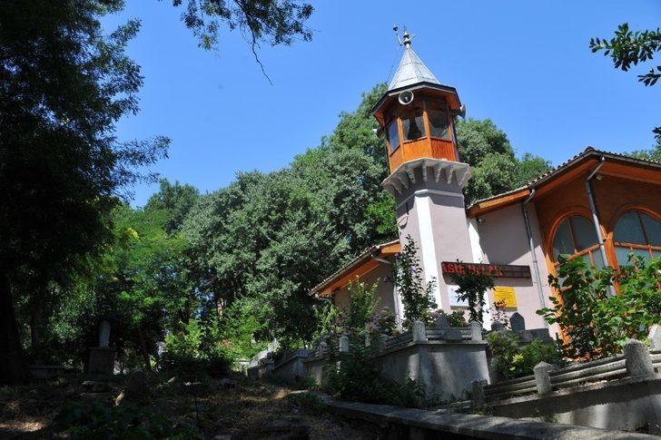 Tarihi mezarlıkta peyzaj düzenlemesi G1