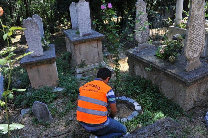 Tarihi mezarlıkta peyzaj düzenlemesi G2