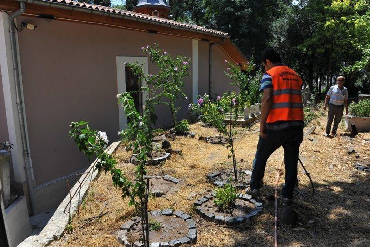 Tarihi mezarlıkta peyzaj düzenlemesi G3