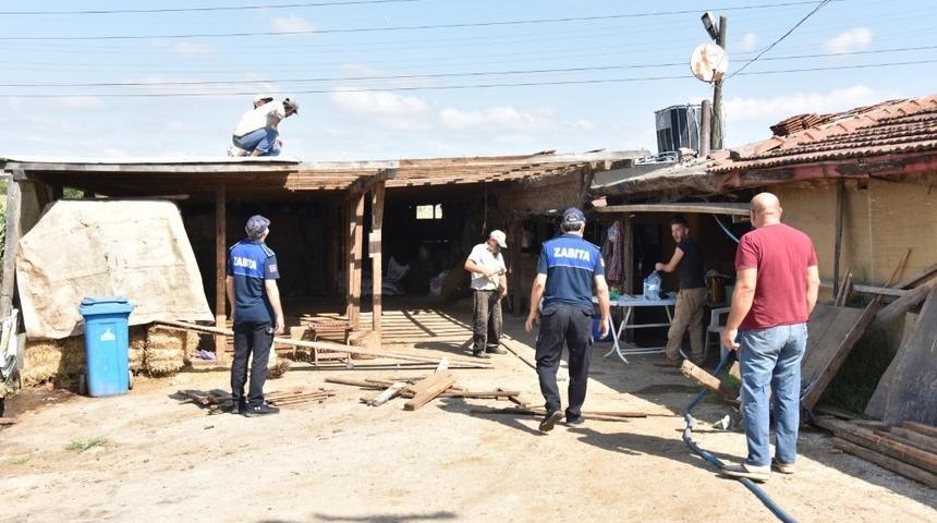 Kartepe’de kaçak ahırların yıkımı devam ediyor