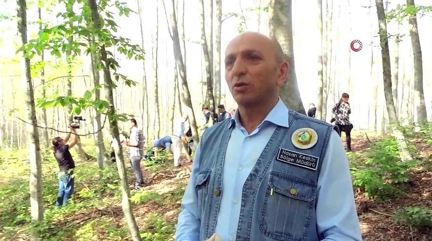 B&ouml;lge M&uuml;d&uuml;r&uuml; Keskin: "Orman yangınlarıyla ilgili t&uuml;m tedbirleri almış durumdayız"