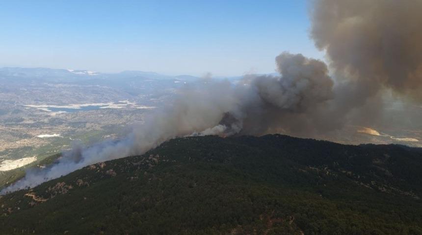 Aydın&rsquo;daki yangınla ilgili 2 kişi g&ouml;zaltına alındı