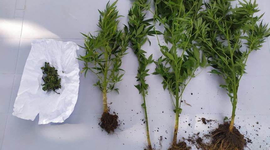 Hatay&rsquo;da uyuşturucu operasyonu