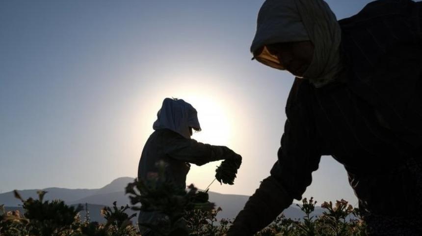 Koronavir&uuml;s: BM destekli araştırmaya g&ouml;re Covid-19 krizi T&uuml;rkiye'de kadınların iş y&uuml;k&uuml;n&uuml; artırdı