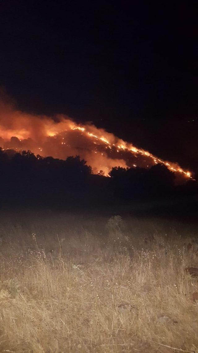 Gerger’de korkutan orman yangını