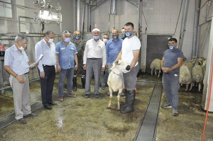 681 aileye kurban eti yardımı yapıldı G5