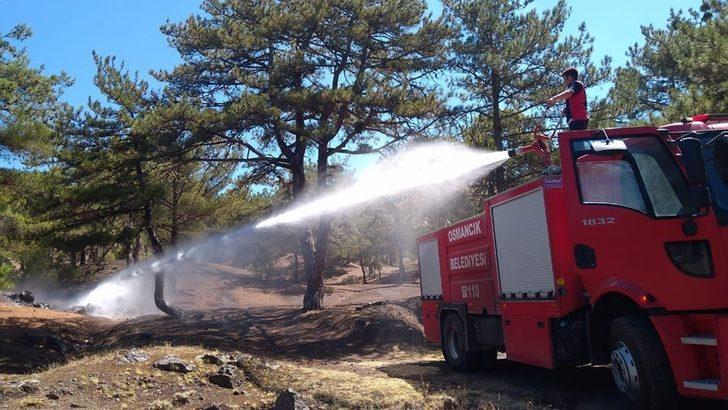 Osmancık’ta orman yangını G1