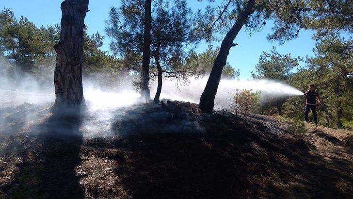 Osmancık’ta orman yangını G2