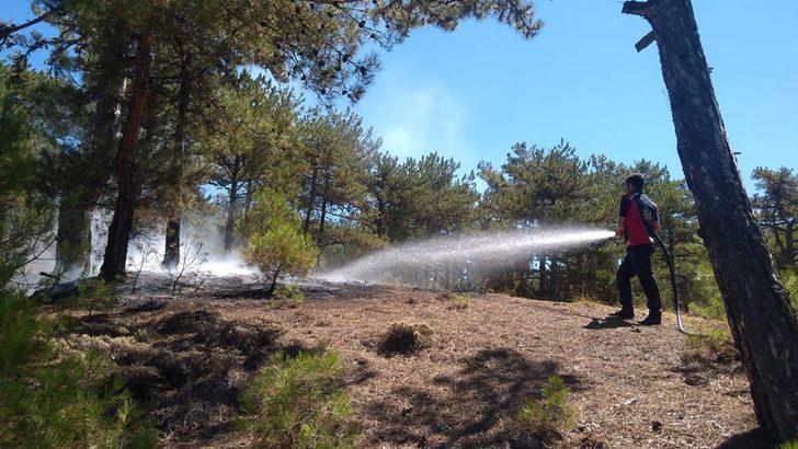 Osmancık’ta orman yangını G3