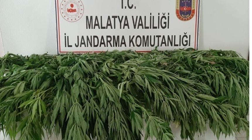 Malatya&rsquo;da uyuşturucuya darbe