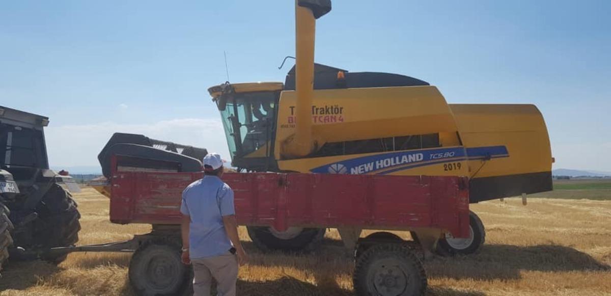 Altıntaş ovasında hasat d&ouml;nemi sona erdi
