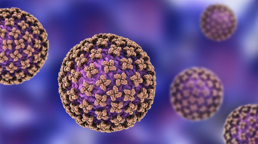 Bunyavirüs nedir? Çin’de yeni çıkan bunyavirüs nasıl bulaşır? İşte bunyavirüs belirtileri!