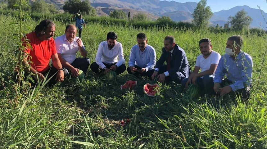 Erzincan&rsquo;da karpuz hasadı başladı