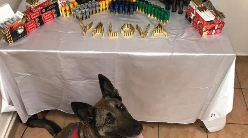 Yalova&rsquo;da ruhsatsız silah ele ge&ccedil;irildi