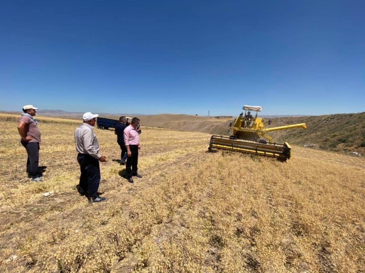 Pursaklar&rsquo;da tohumlar mahsule d&ouml;nd&uuml;