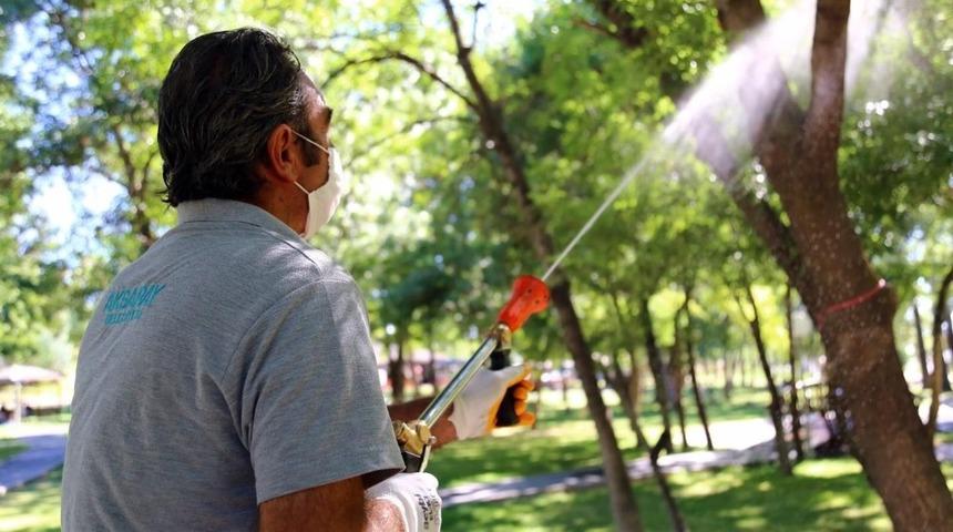 Aksaray&rsquo;da haşere ile m&uuml;cadelesi devam ediyor