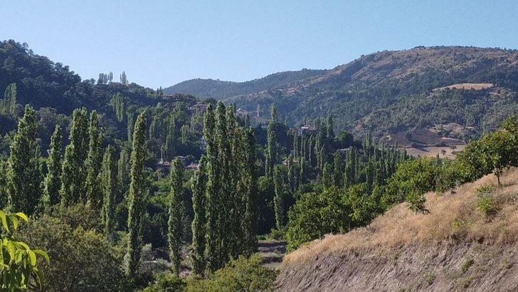 Çorum’da bir köy karantinaya alındı G2